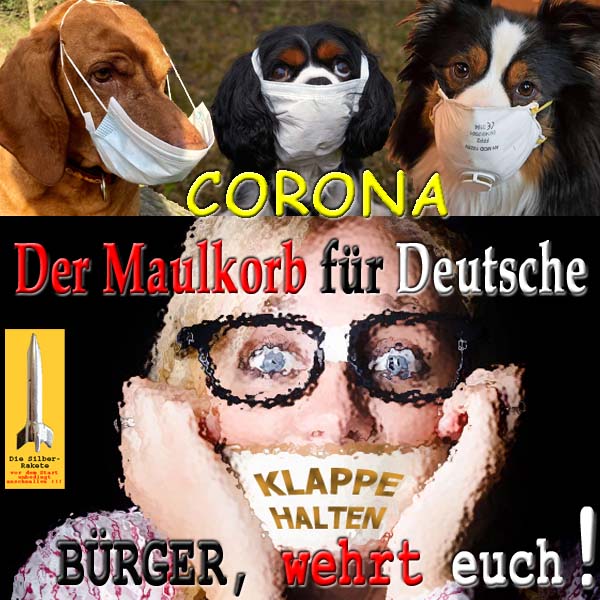 SilberRakete Hund mit Atemmaske Corona Maulkorb fuer Deutsche Klappe halten Buerger wehrt euch