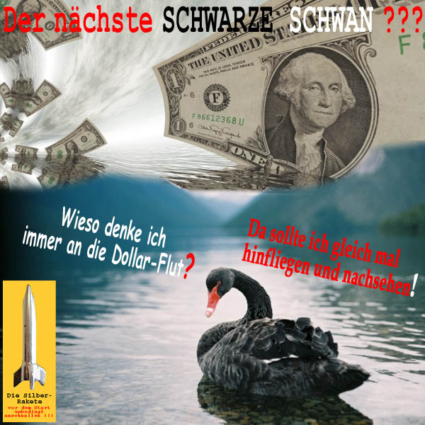 SilberRakete Naechster Schwarzer Schwan Dollar