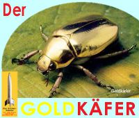 SilberRakete_Gold-Kaefer