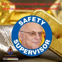 DH-WE_Safety_Supervisor