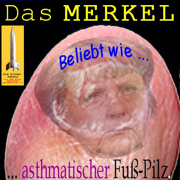 SilberRakete Das-Merkel-Beliebt-wie-asthmatischer-Fusspilz
