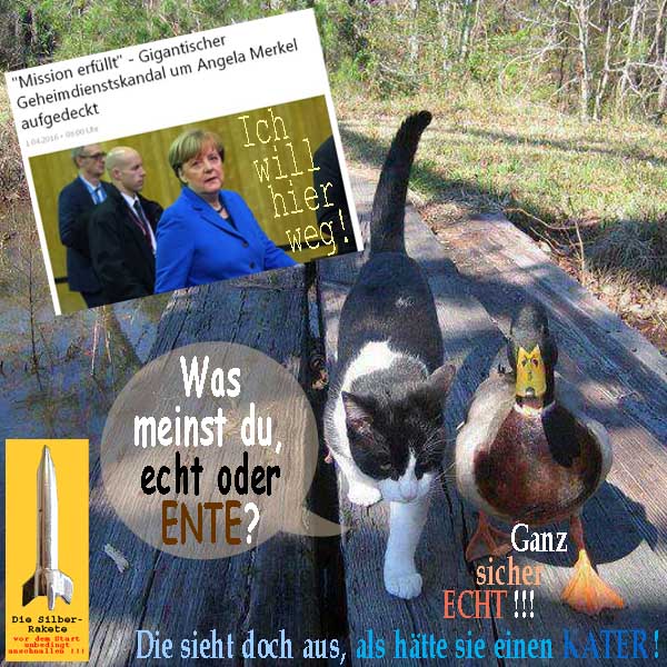 SilberRakete Merkel-Skandal-Mission-erfuellt-Will-weg-Echt-Kater-Ente-Waldweg