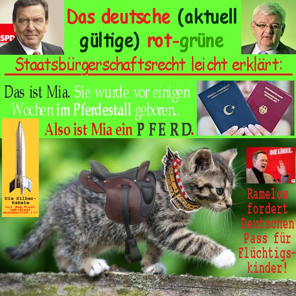 SilberRakete Staatsbuergerschaftsrecht-D-rot-gruen-Schroeder-Fischer-Katze-Pferd-Pass-Ramelow