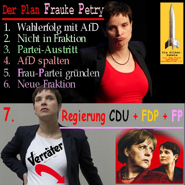 SilberRakete Der Plan Frauke Petry Erfolg AfD Fraktion Partei spalten Neue Fraktion Regierung CDU FDP FP