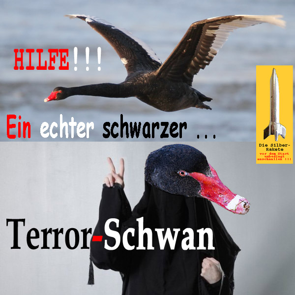 SilberRakete Schwarzer Schwan fliegt Hilfe Echter schwarzer Terrorschwan Burka Victory Zeichen