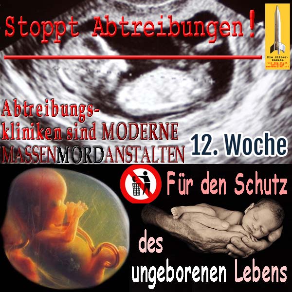 SilberRakete Stoppt Abtreibungen Moderne Massenmordanstalten Fuer Schutz ungeborenen Lebens