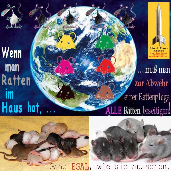 SilberRakete Weltkugel Wenn man Ratten im Haus hat Zur Vermeidung Plage Alle Ratten beseitigen