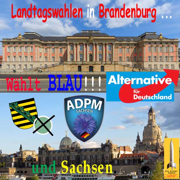 SilberRakete Landtagswahlen Brandenburg Sachsen Waehlt BLAU AfD ADPM